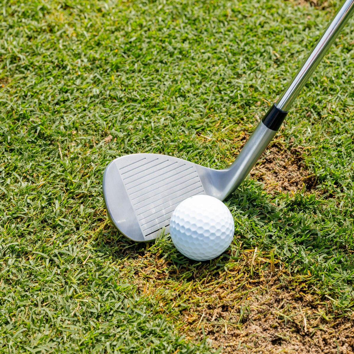 Men’s Thunderbird Wedge