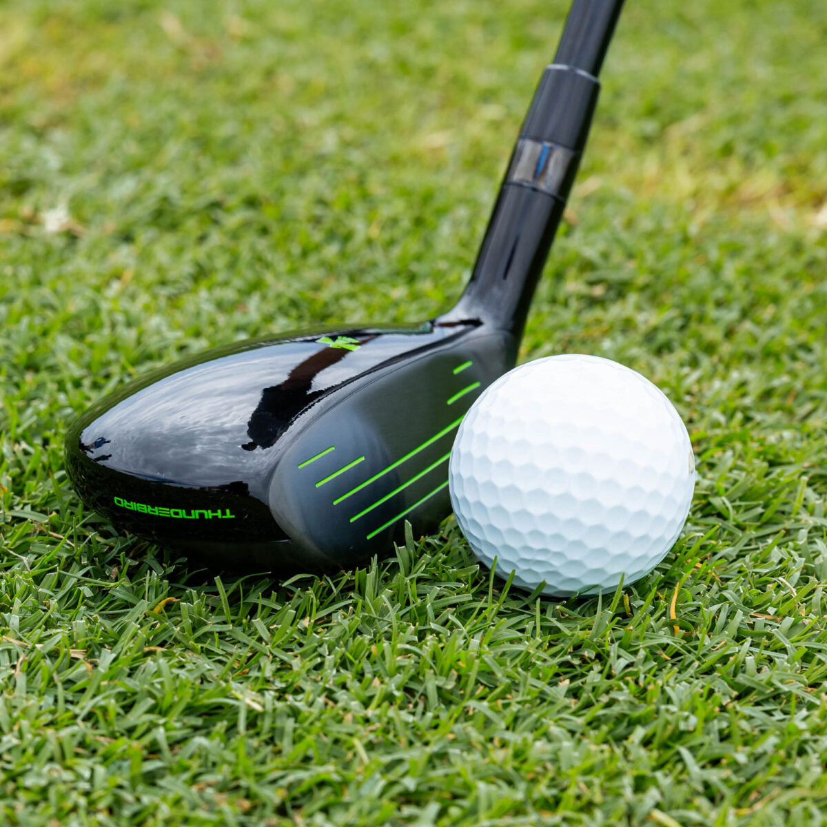 Senior’s Thunderbird Fairway