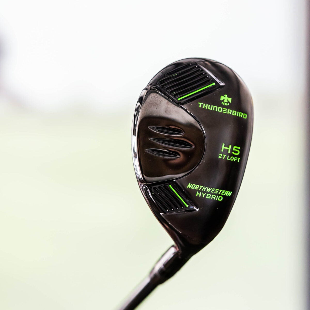 Senior’s Thunderbird Hybrid