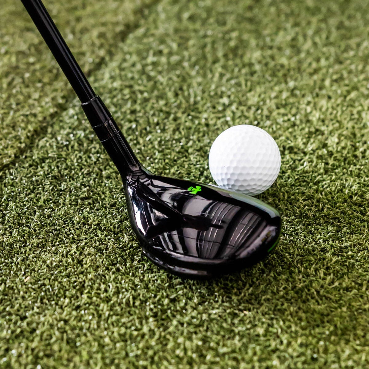 Senior’s Thunderbird Hybrid