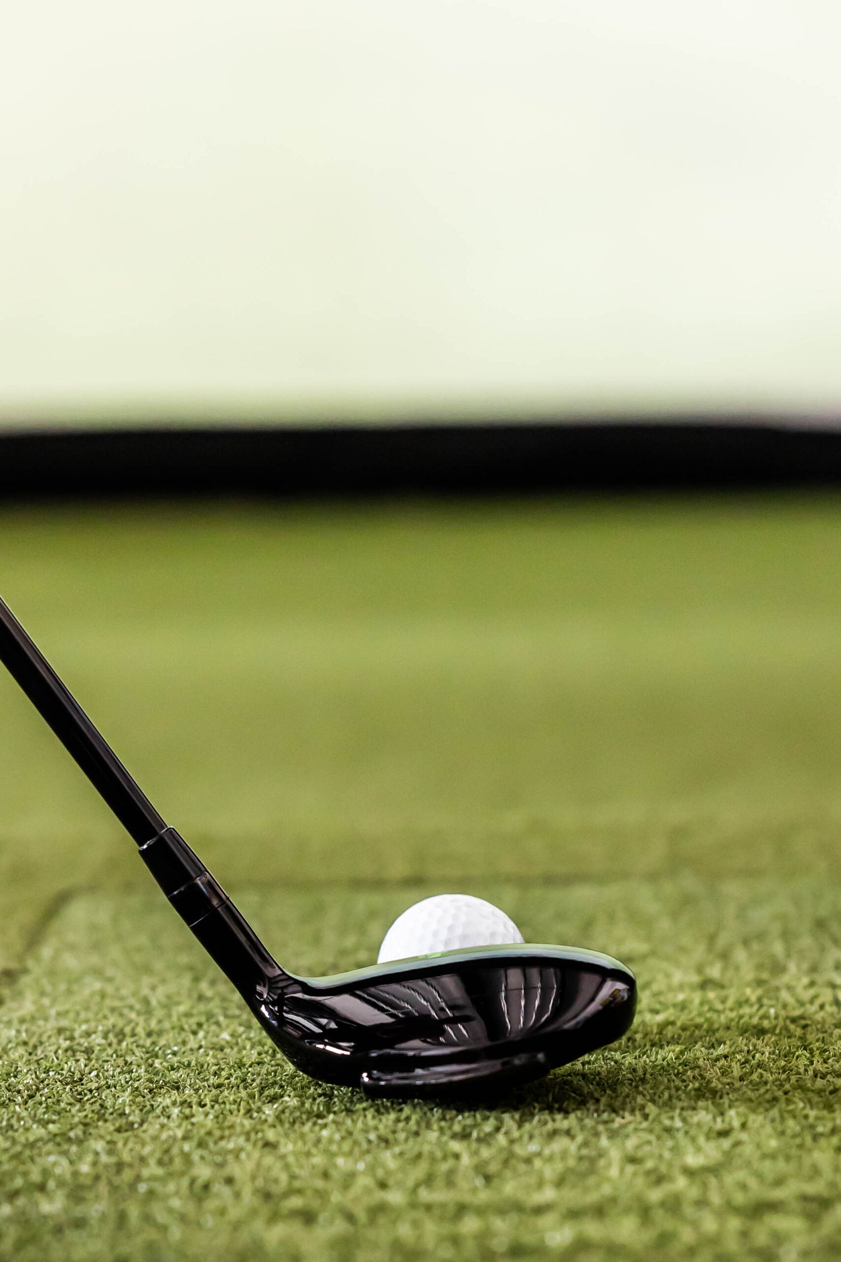 Senior’s Thunderbird Hybrid