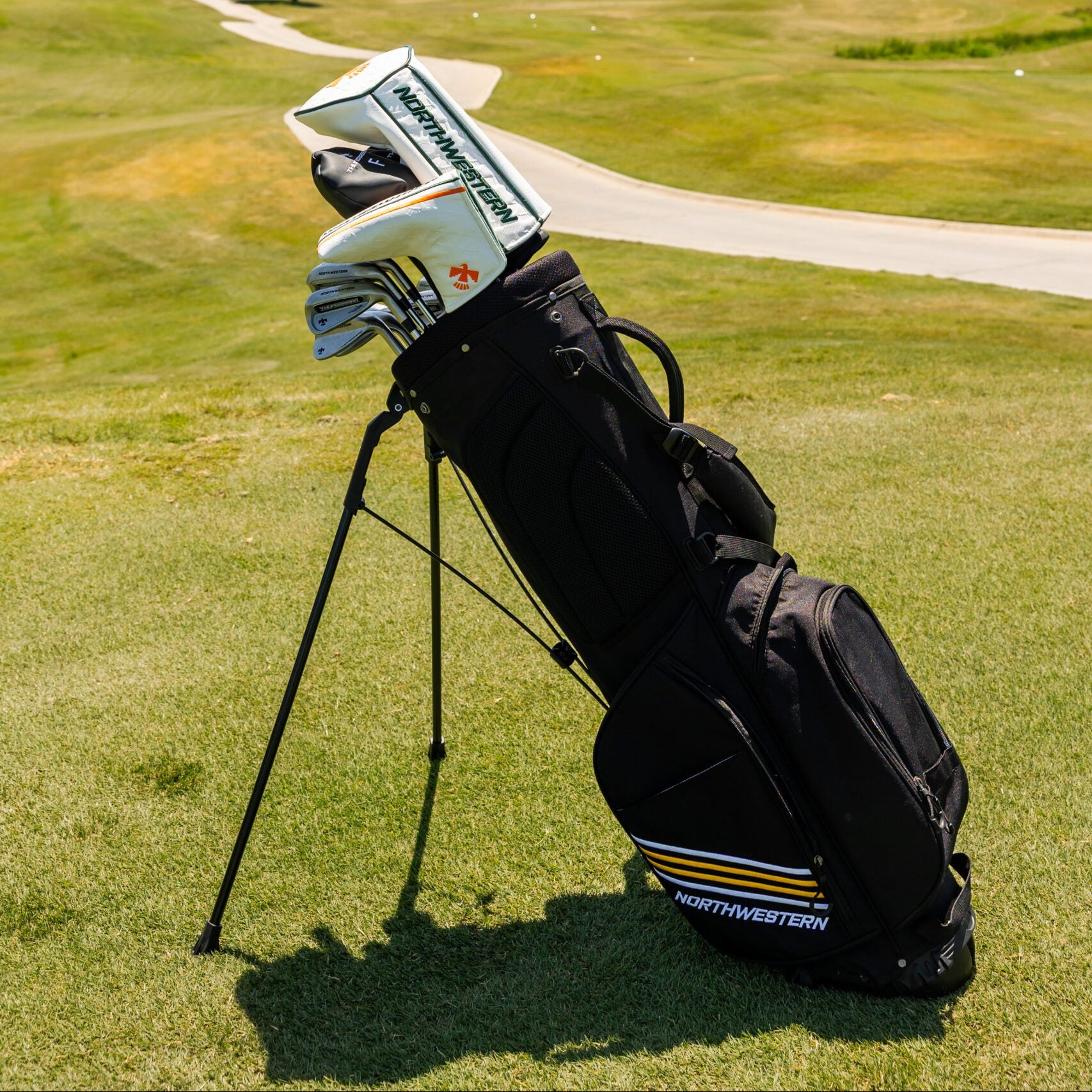 Golf club in a bag on a golf course with trees and buildings in the background