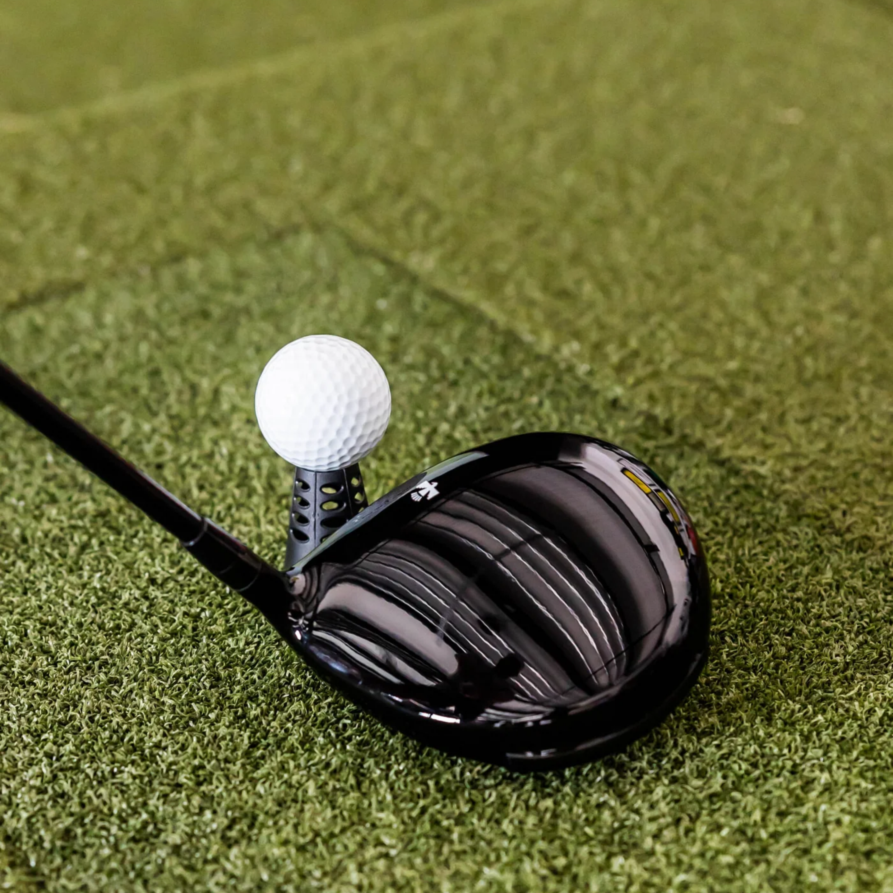 Men’s Thunderbird Driver