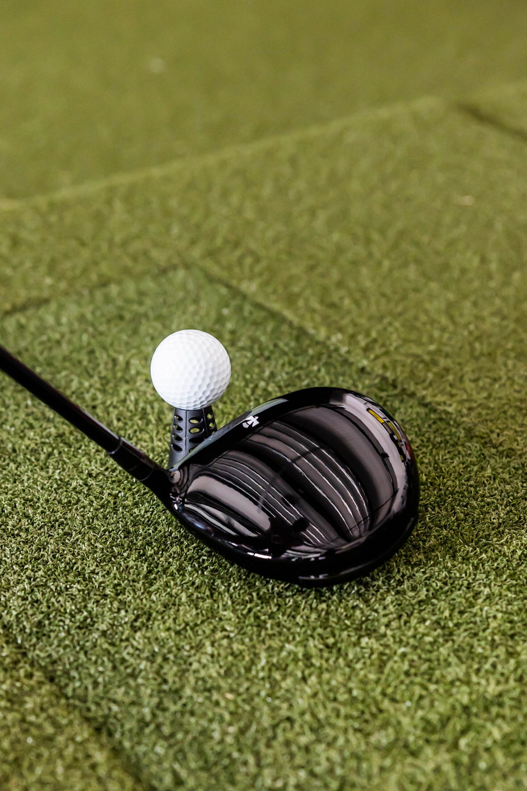 Men’s Thunderbird Driver