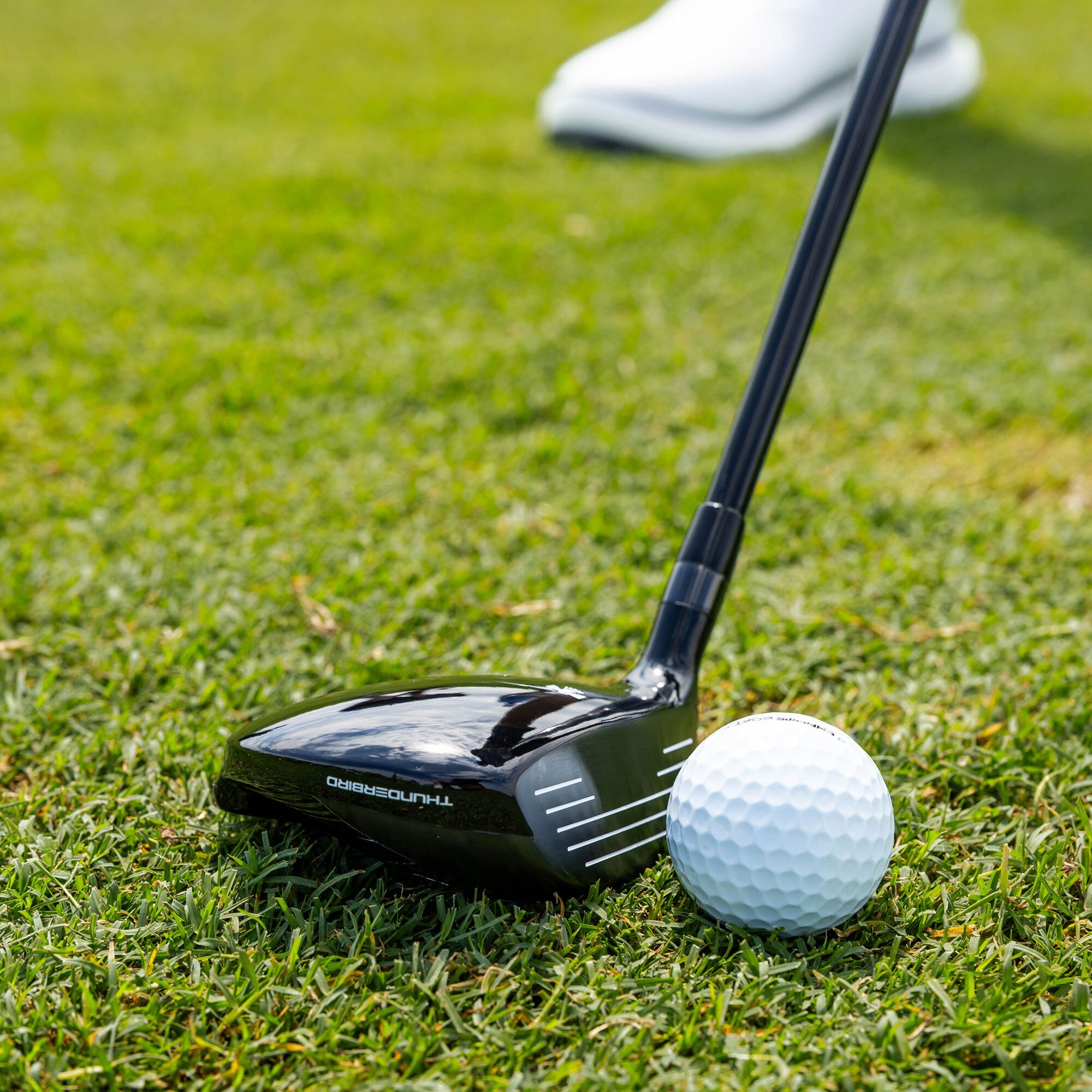 Men’s Thunderbird Fairway