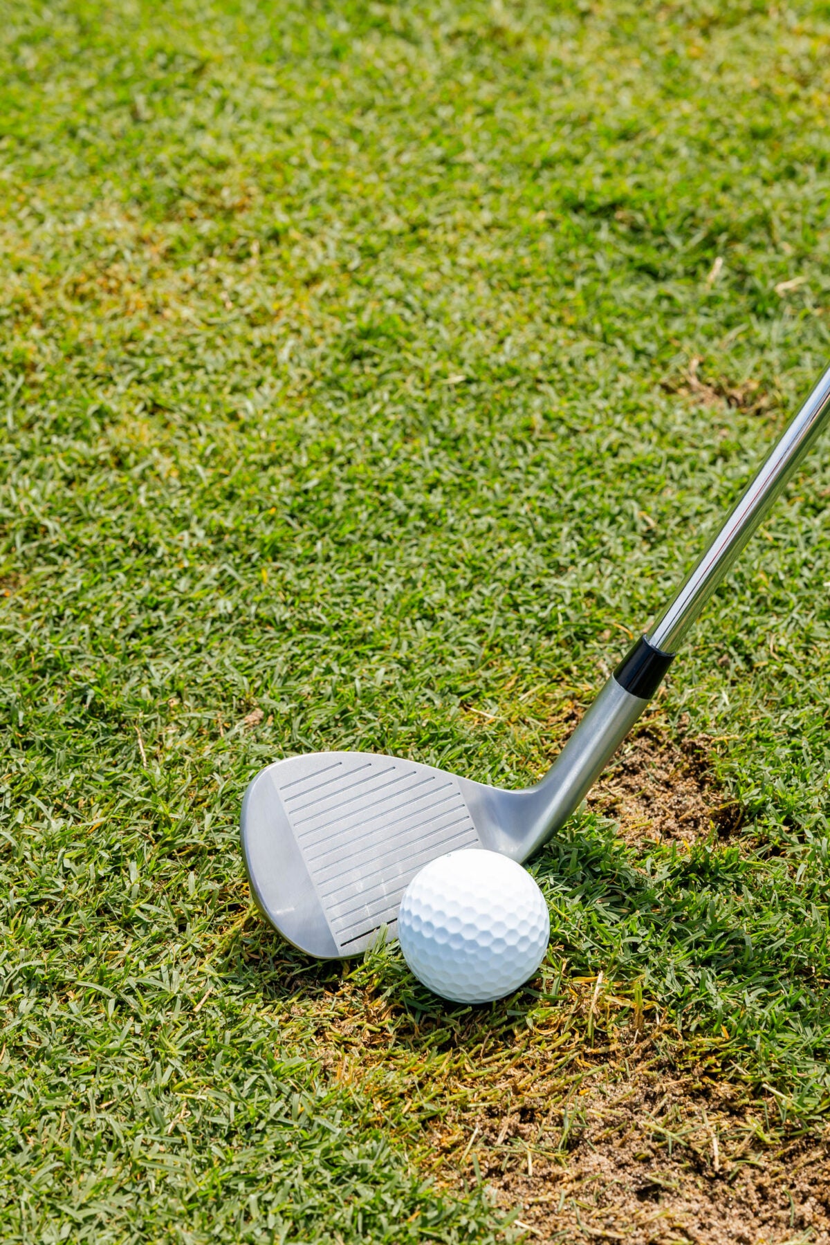 Men’s Thunderbird Wedge