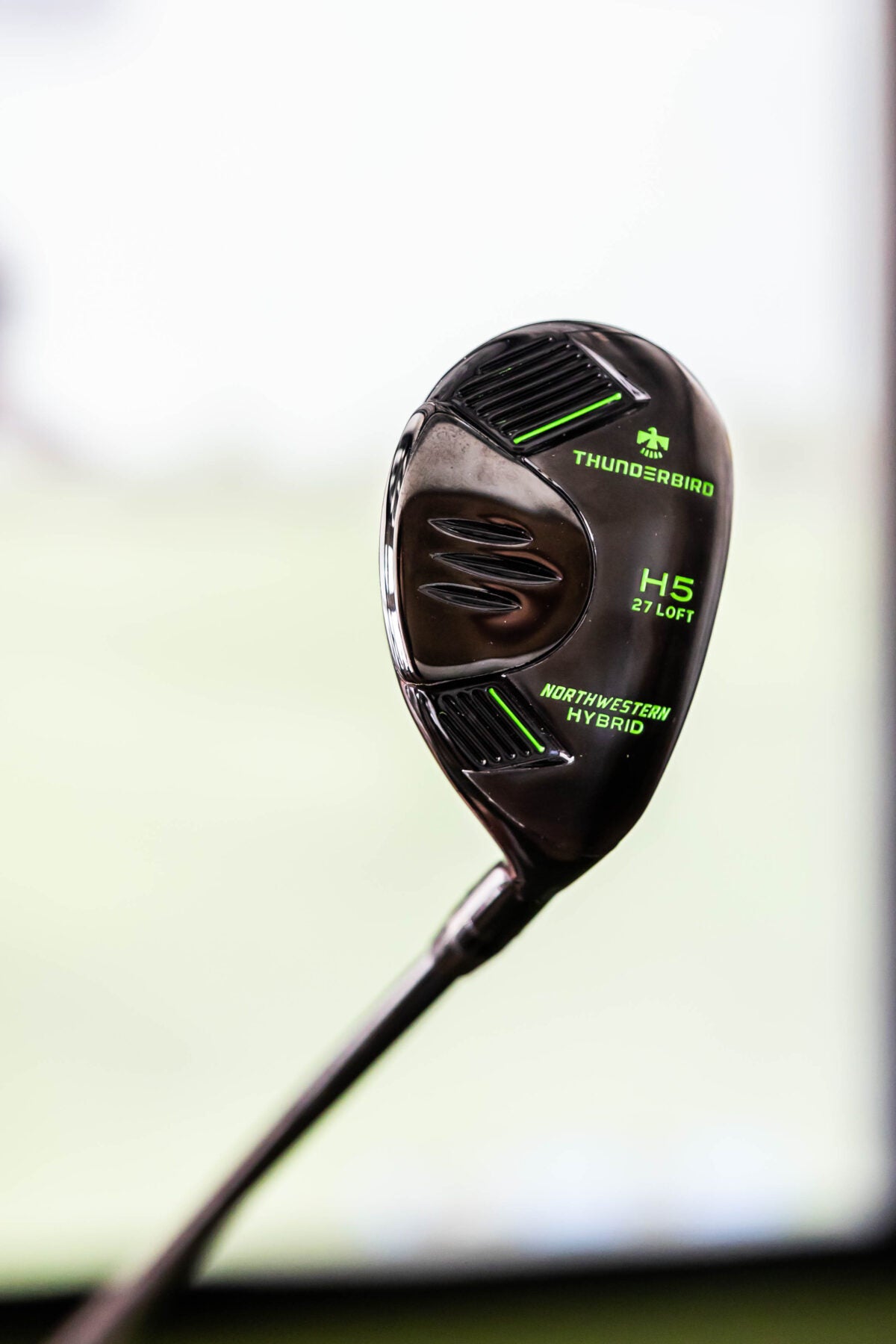 Senior’s Thunderbird Hybrid