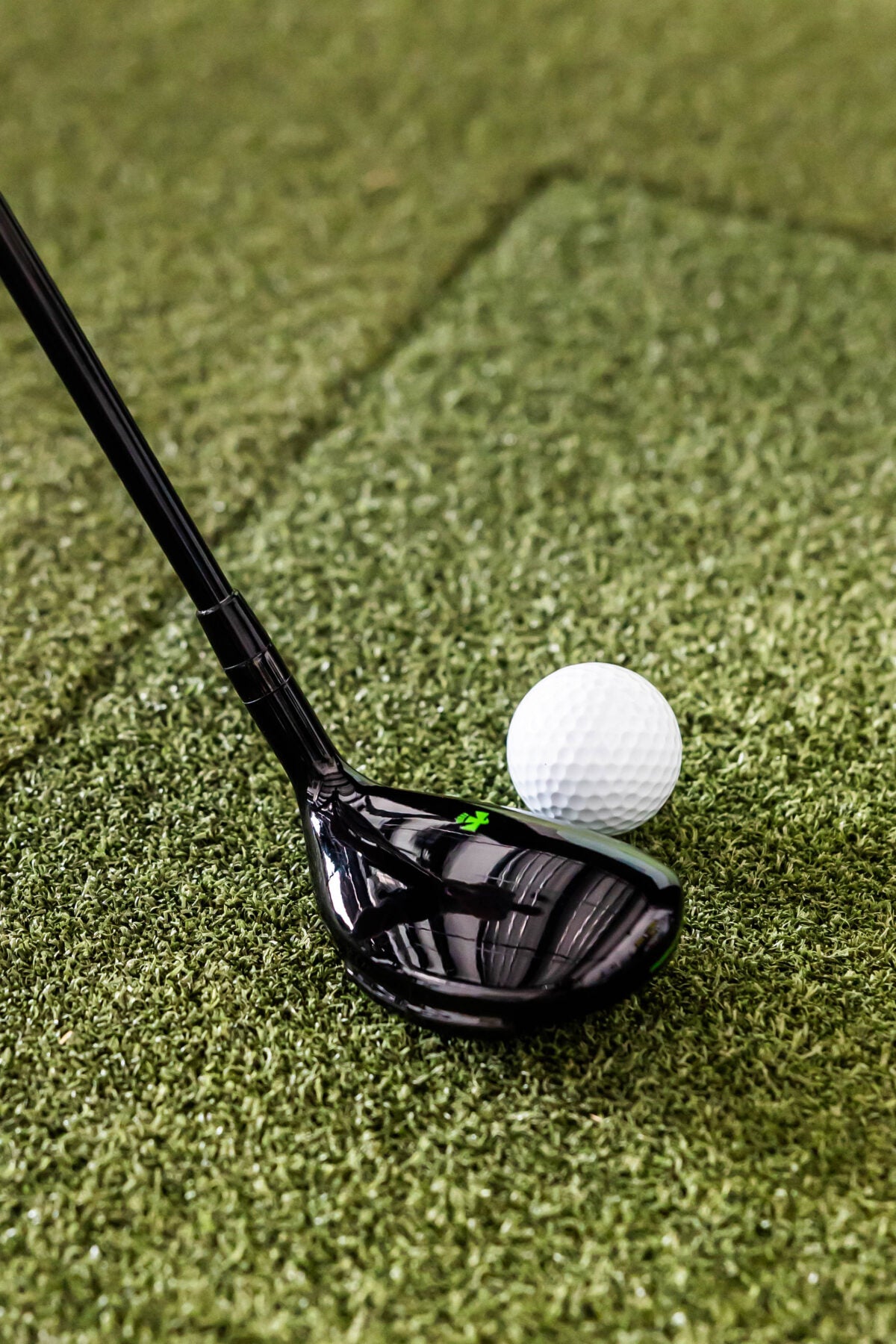 Senior’s Thunderbird Hybrid