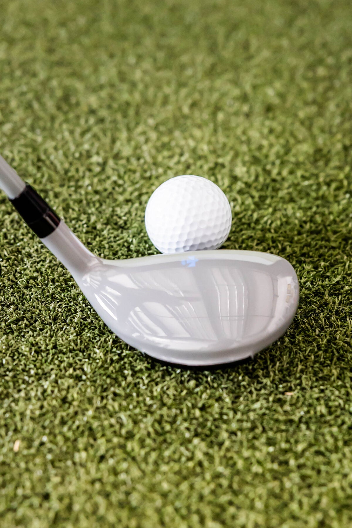 Women’s Thunderbird Hybrids